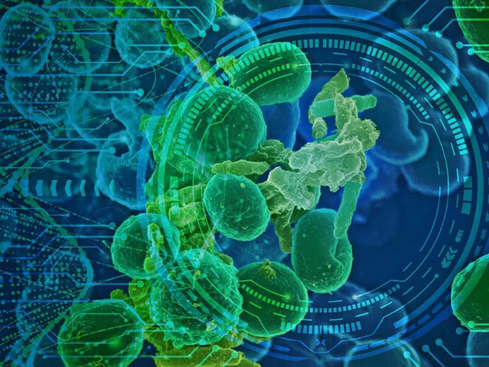 Read more about the article Katabolizm. Na redukcji stracisz mięśnie! Jak uniknąć utraty mięśni na redukcji?